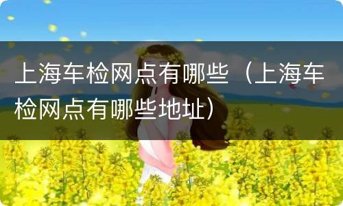上海车检网点有哪些（上海车检网点有哪些地址）