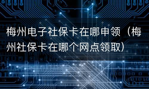 梅州电子社保卡在哪申领（梅州社保卡在哪个网点领取）