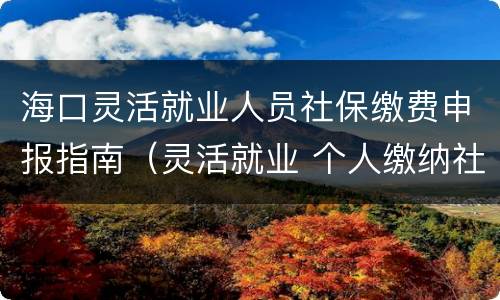 海口灵活就业人员社保缴费申报指南（灵活就业 个人缴纳社保 海口市）
