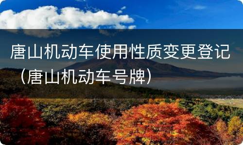唐山机动车使用性质变更登记（唐山机动车号牌）