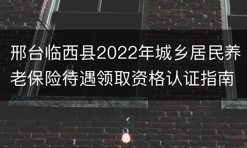 邢台临西县2022年城乡居民养老保险待遇领取资格认证指南