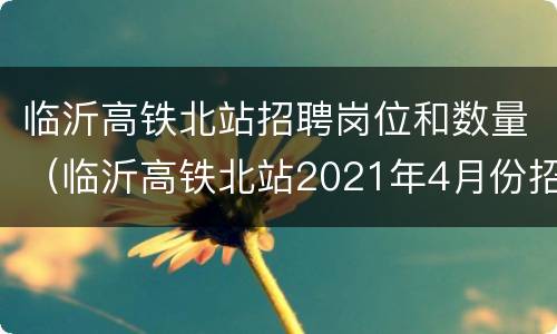 临沂高铁北站招聘岗位和数量（临沂高铁北站2021年4月份招聘部分工作人员岗位计划表）