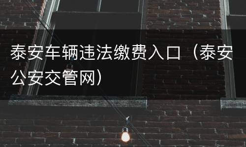 泰安车辆违法缴费入口（泰安公安交管网）