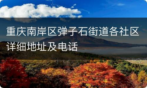 重庆南岸区弹子石街道各社区详细地址及电话