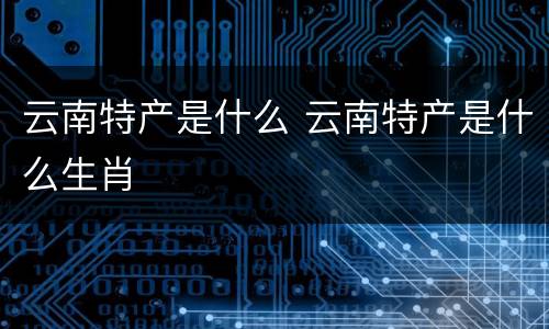 云南特产是什么 云南特产是什么生肖