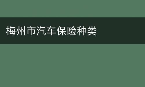 梅州市汽车保险种类