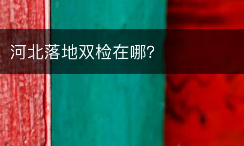 河北落地双检在哪？