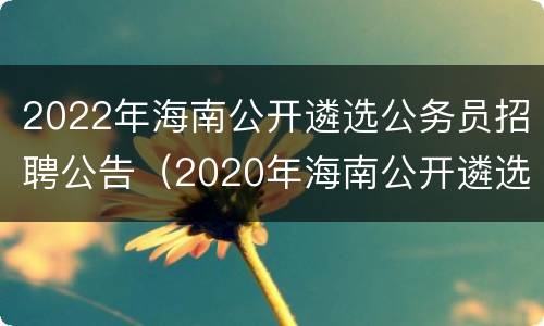 2022年海南公开遴选公务员招聘公告（2020年海南公开遴选公务员）