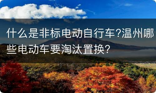 什么是非标电动自行车?温州哪些电动车要淘汰置换?