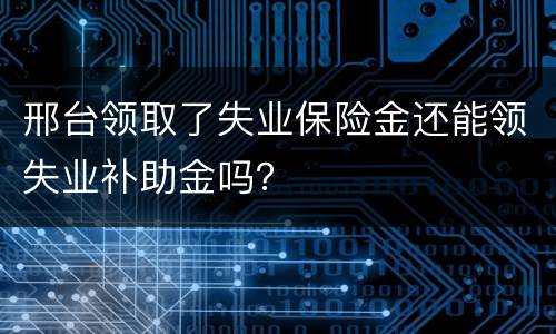 邢台领取了失业保险金还能领失业补助金吗？