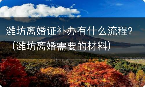 潍坊离婚证补办有什么流程？（潍坊离婚需要的材料）