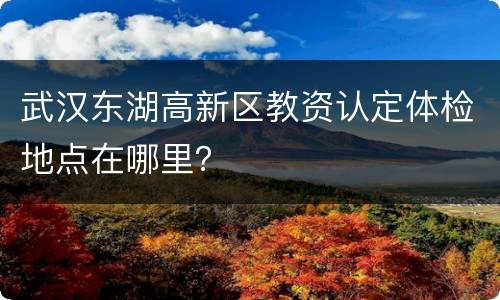 武汉东湖高新区教资认定体检地点在哪里？