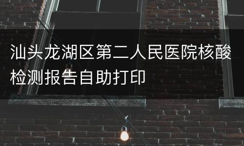 汕头龙湖区第二人民医院核酸检测报告自助打印