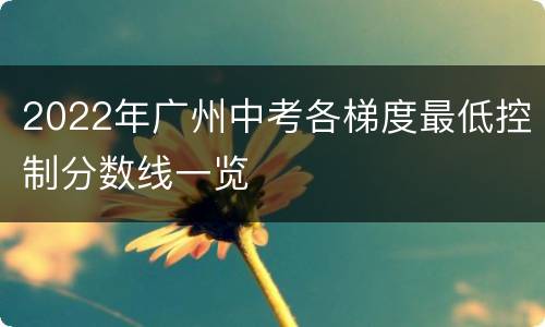 2022年广州中考各梯度最低控制分数线一览
