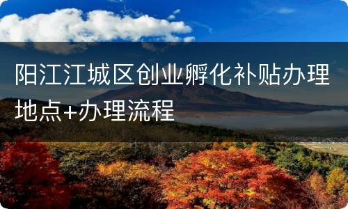 阳江江城区创业孵化补贴办理地点+办理流程