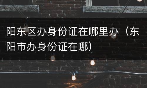 阳东区办身份证在哪里办（东阳市办身份证在哪）