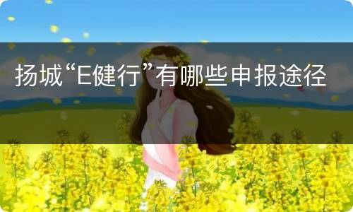 扬城“E健行”有哪些申报途径