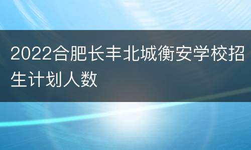 2022合肥长丰北城衡安学校招生计划人数