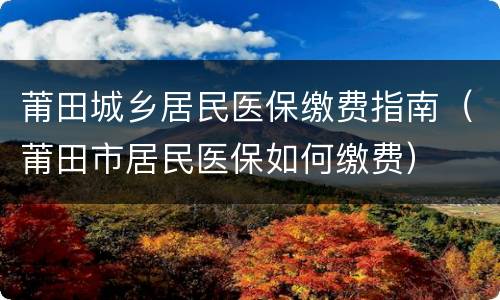 莆田城乡居民医保缴费指南（莆田市居民医保如何缴费）