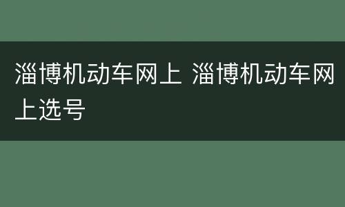 淄博机动车网上 淄博机动车网上选号