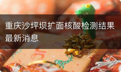 重庆沙坪坝扩面核酸检测结果最新消息