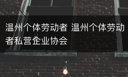 温州个体劳动者 温州个体劳动者私营企业协会