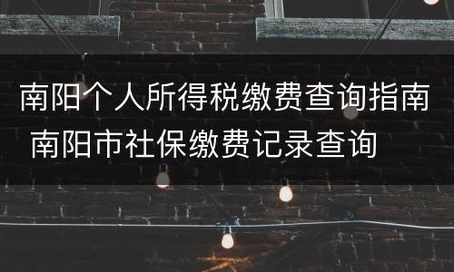 南阳个人所得税缴费查询指南 南阳市社保缴费记录查询