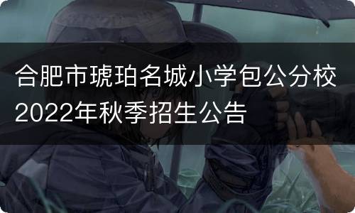合肥市琥珀名城小学包公分校2022年秋季招生公告
