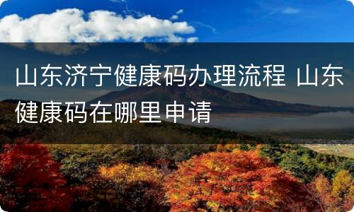 山东济宁健康码办理流程 山东健康码在哪里申请