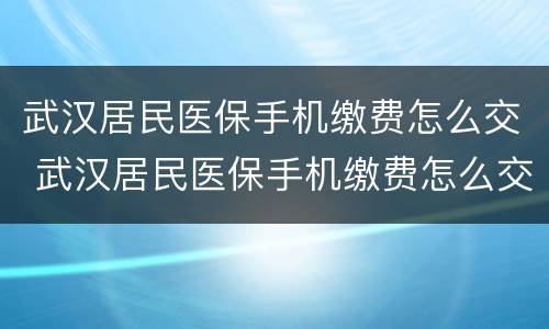 武汉居民医保手机缴费怎么交 武汉居民医保手机缴费怎么交不了