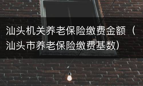汕头机关养老保险缴费金额（汕头市养老保险缴费基数）