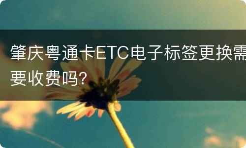 肇庆粤通卡ETC电子标签更换需要收费吗？