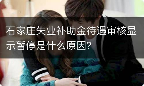 石家庄失业补助金待遇审核显示暂停是什么原因？