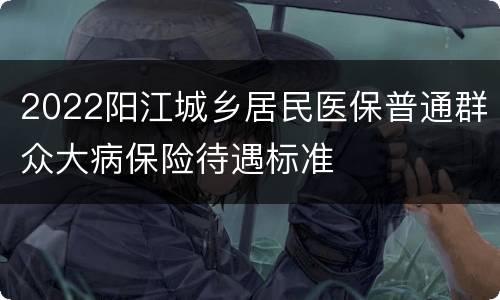 2022阳江城乡居民医保普通群众大病保险待遇标准