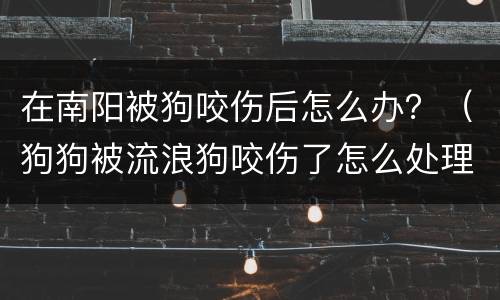 在南阳被狗咬伤后怎么办？（狗狗被流浪狗咬伤了怎么处理）