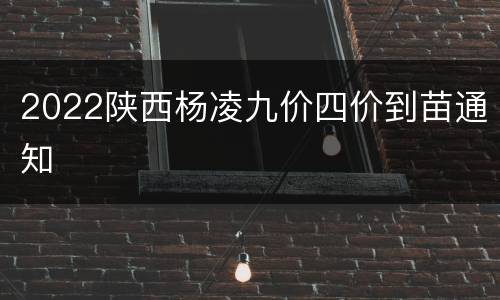 2022陕西杨凌九价四价到苗通知