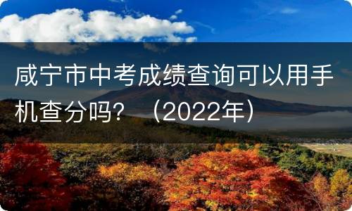 咸宁市中考成绩查询可以用手机查分吗？（2022年）