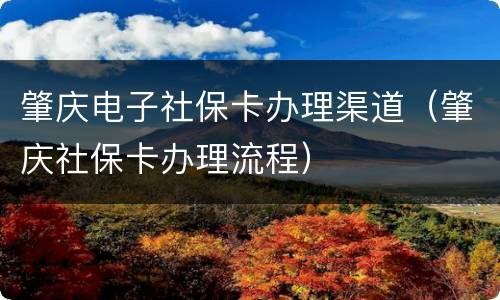 肇庆电子社保卡办理渠道（肇庆社保卡办理流程）