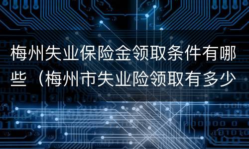 梅州失业保险金领取条件有哪些（梅州市失业险领取有多少）