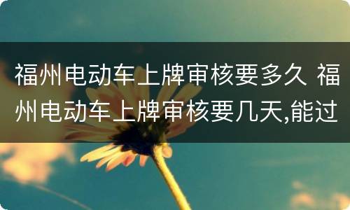 福州电动车上牌审核要多久 福州电动车上牌审核要几天,能过吗