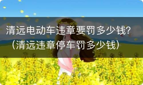 清远电动车违章要罚多少钱？（清远违章停车罚多少钱）