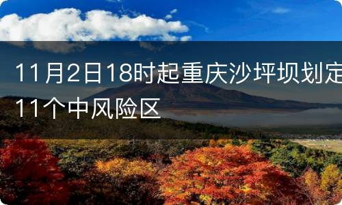 11月2日18时起重庆沙坪坝划定11个中风险区