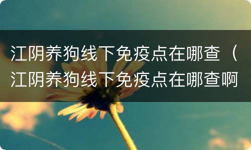 江阴养狗线下免疫点在哪查（江阴养狗线下免疫点在哪查啊）