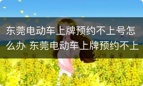 东莞电动车上牌预约不上号怎么办 东莞电动车上牌预约不上号怎么办呢