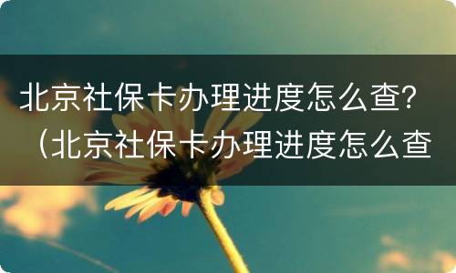 北京社保卡办理进度怎么查？（北京社保卡办理进度怎么查询）