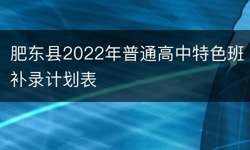 肥东县2022年普通高中特色班补录计划表