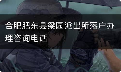 合肥肥东县梁园派出所落户办理咨询电话