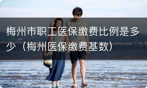 梅州市职工医保缴费比例是多少（梅州医保缴费基数）