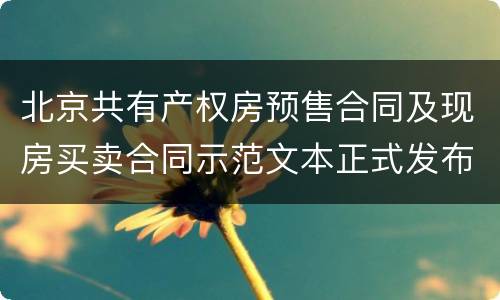 北京共有产权房预售合同及现房买卖合同示范文本正式发布