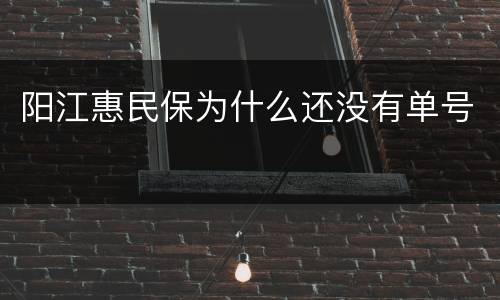 阳江惠民保为什么还没有单号